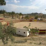Capeas Abanilla Alicante