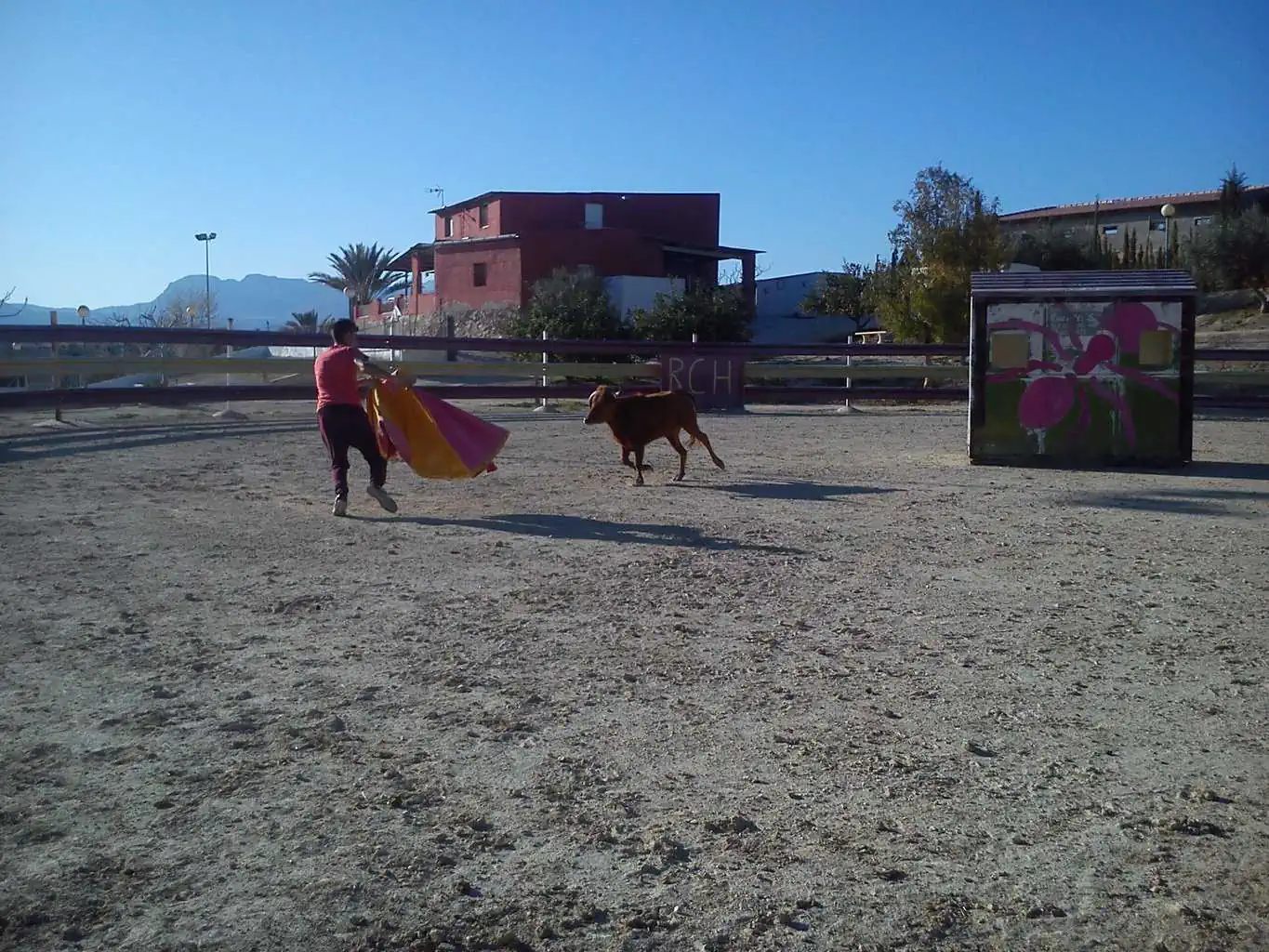 Capeas Abanilla Alicante - Imagen 19