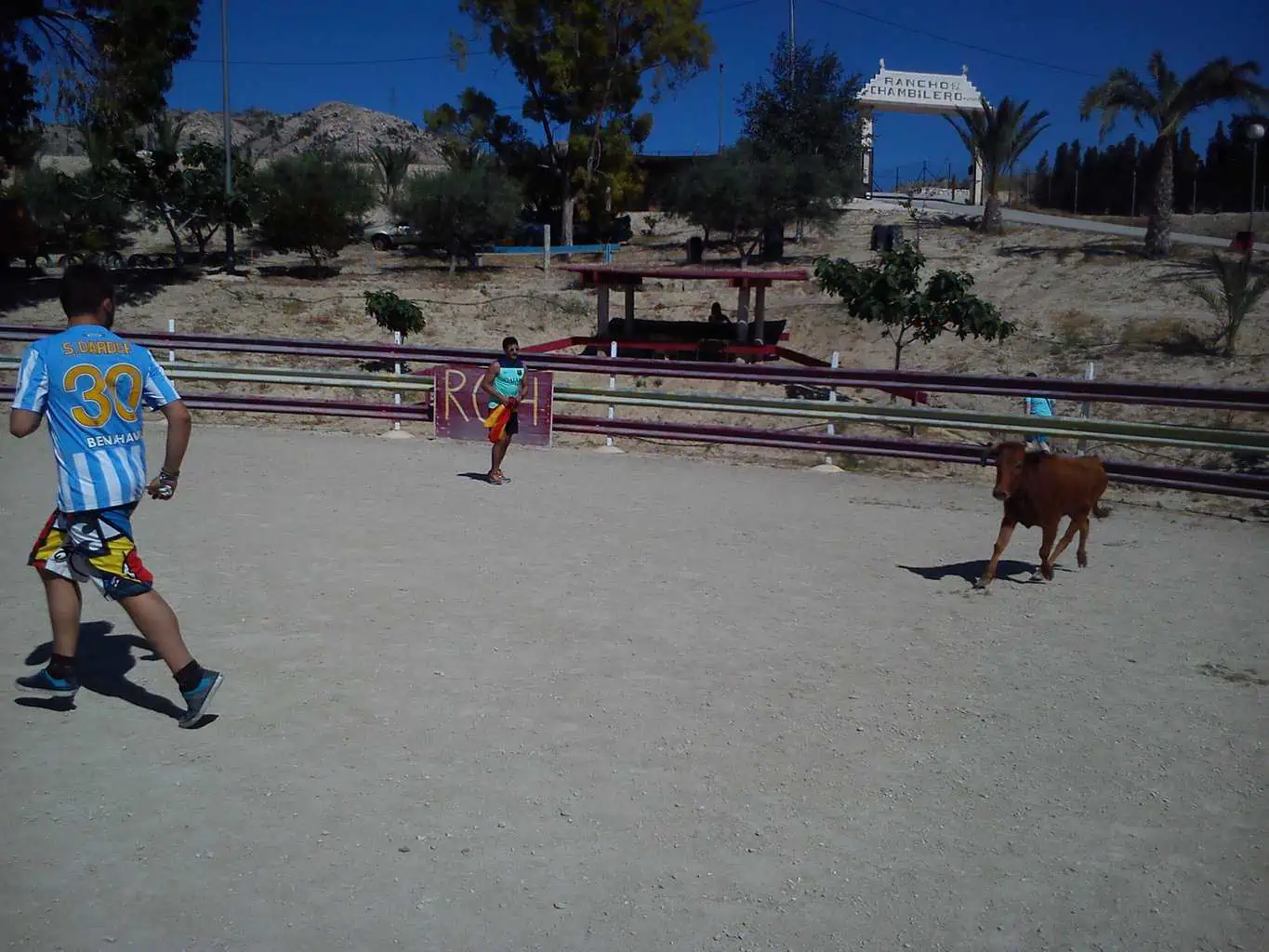 Capeas Abanilla Alicante - Imagen 20