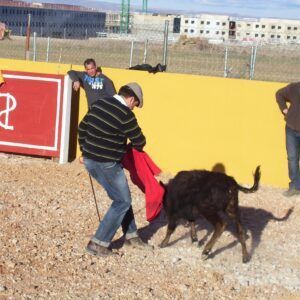 Capeas en Soria