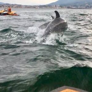 Motos Agua Hondarribia