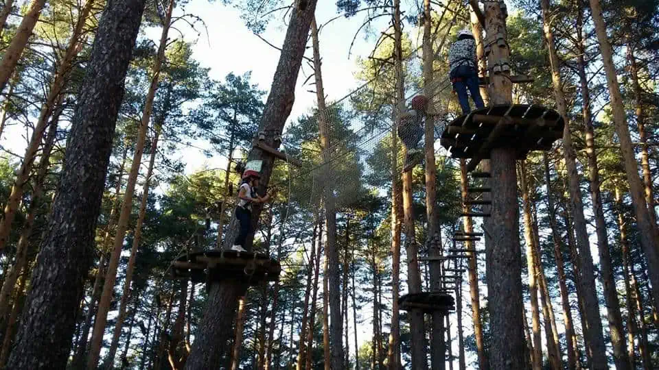 Parque Aventura Soria - Imagen 14