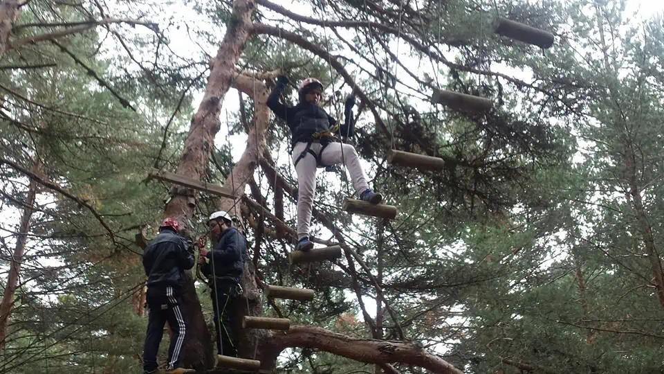 Parque Aventura Soria - Imagen 10
