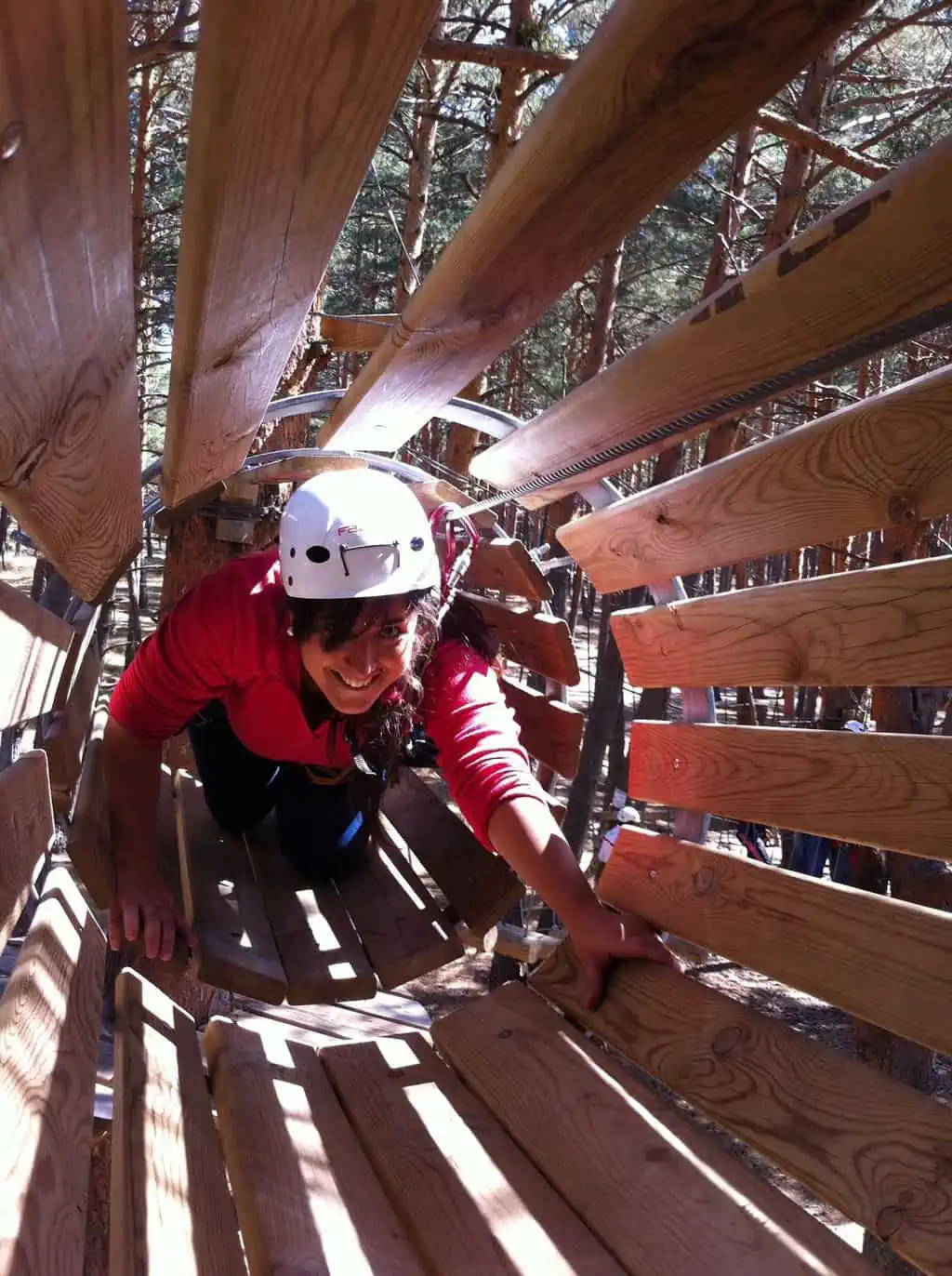 Parque Aventura Soria - Imagen 3