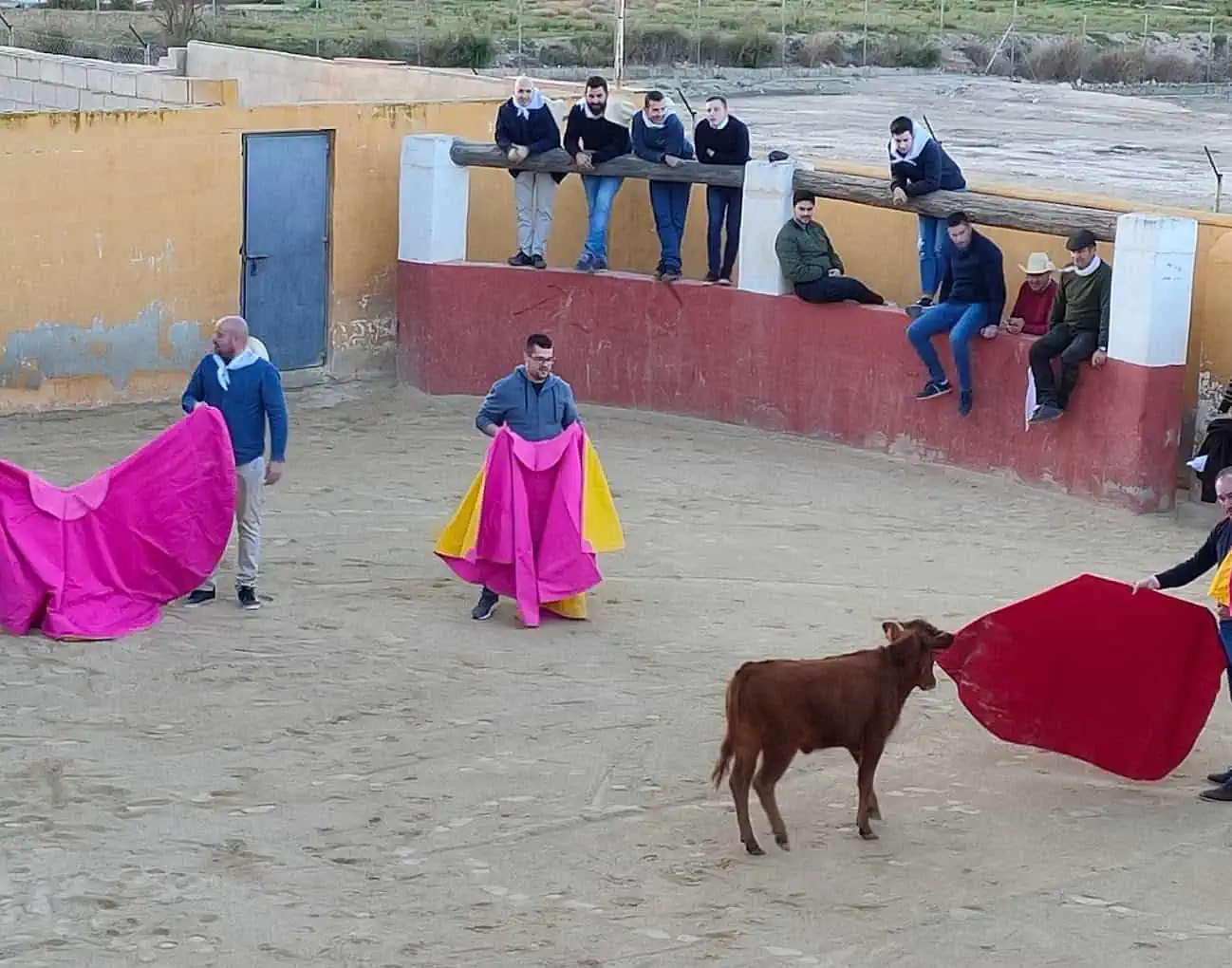 Capeas Torres de Cotillas - Imagen 3