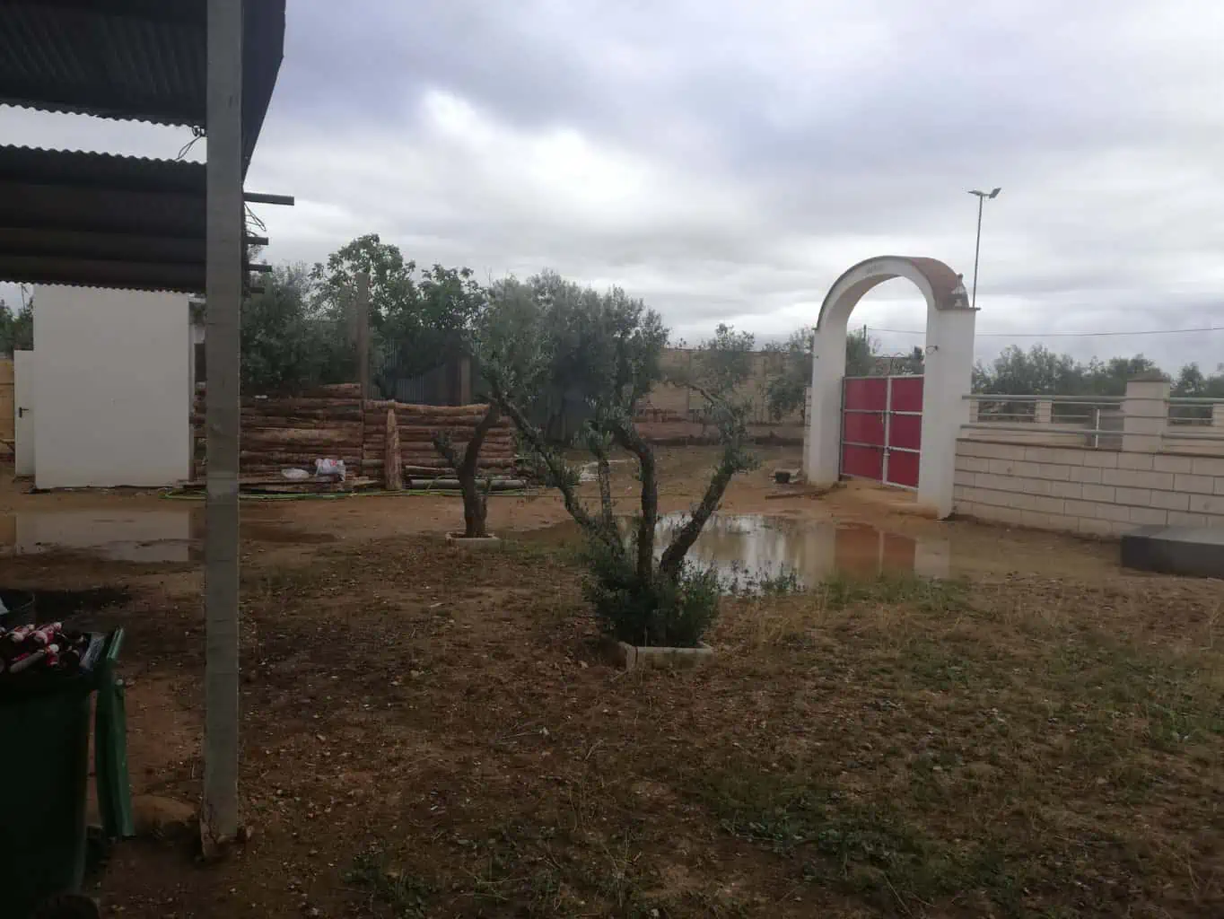 Capeas Cañada Rosal - Imagen 2