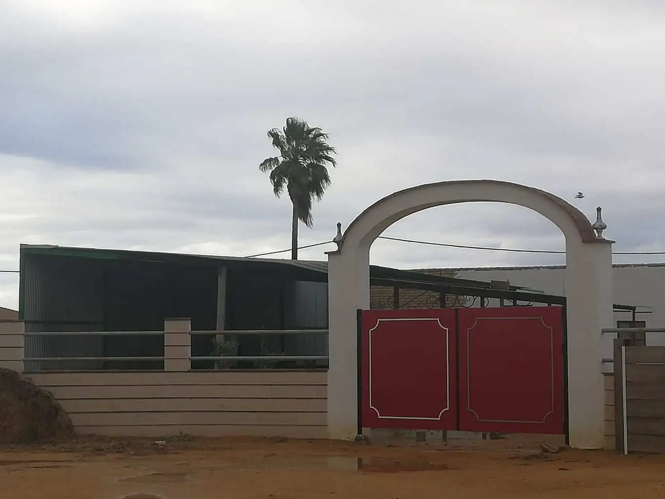 Capeas Cañada Rosal - Imagen 4