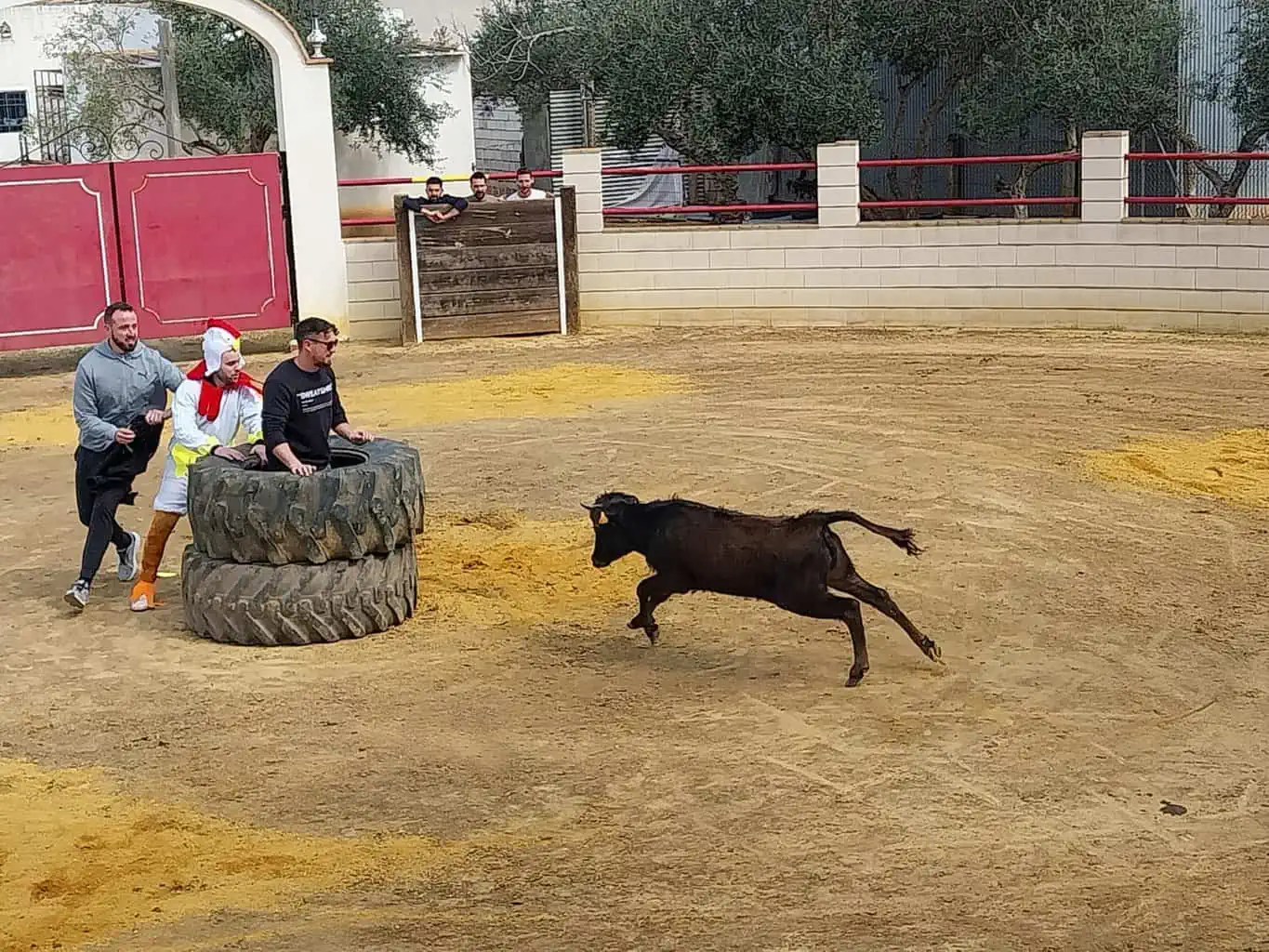 Capeas Cañada Rosal - Imagen 14