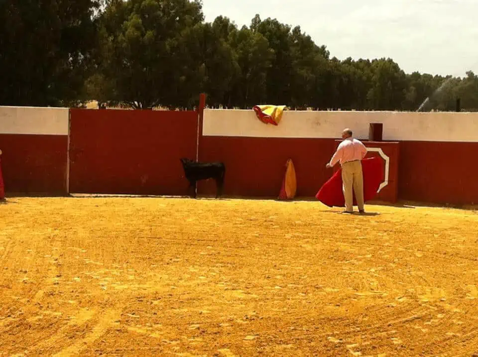 Capeas Sevilla - Imagen 7
