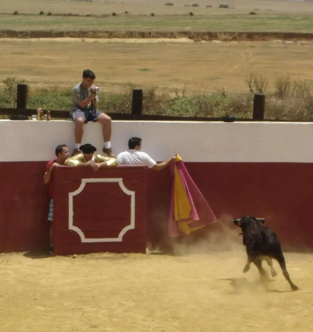 Capeas Sevilla - Imagen 10