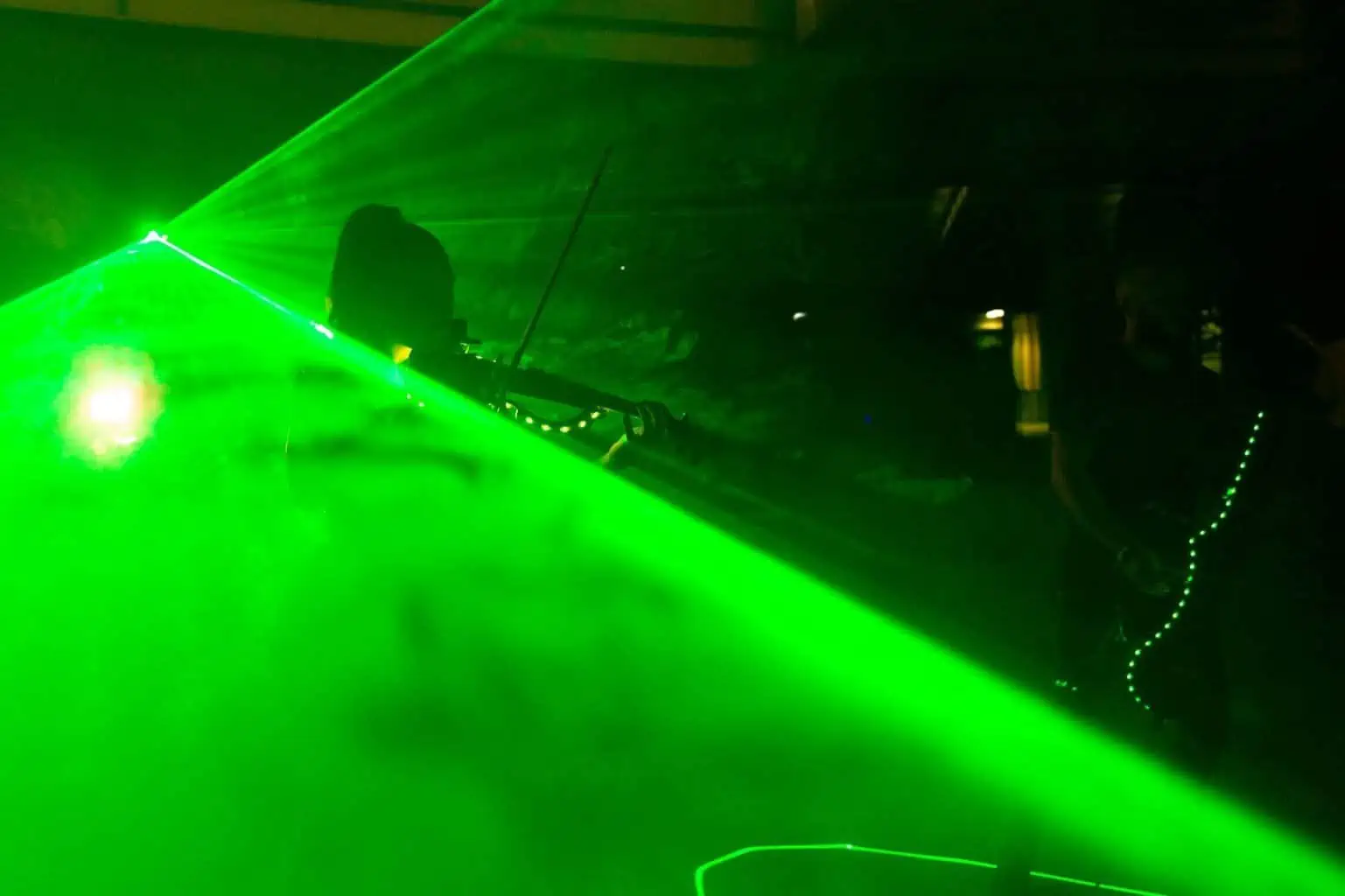 Electronic Firefly - Imagen 9