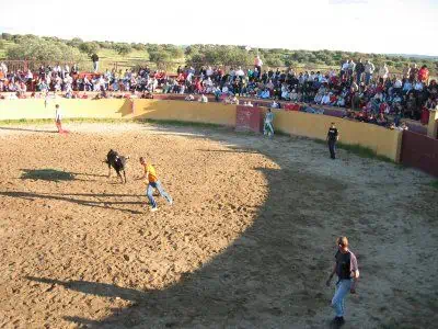 Capeas Caceres - Imagen 3