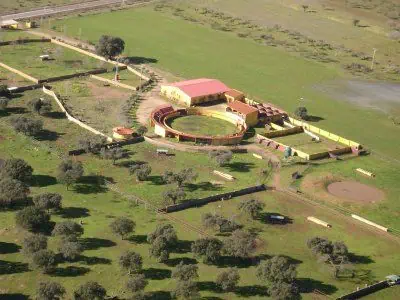 Capeas Caceres - Imagen 4