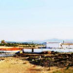Capeas Taberno Almeria