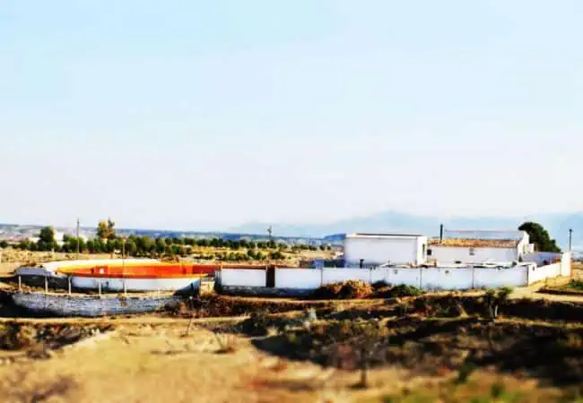 Capeas Taberno Almeria