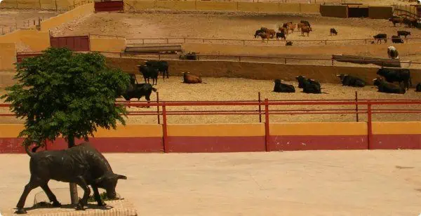 Capeas Taberno Almeria - Imagen 3