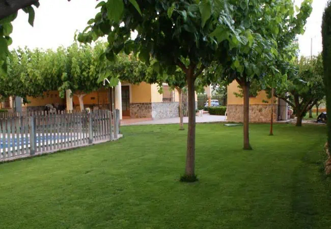 Capeas Taberno Almeria - Imagen 4