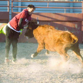 Capeas Alfajarin Zaragoza 11