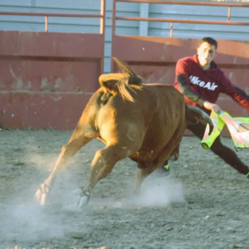 Capeas Alfajarin Zaragoza 9